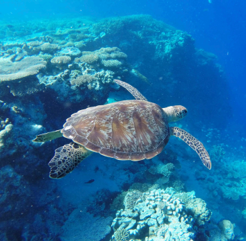 A week of Nature, Tradition, and Maore Culture of Mayotte